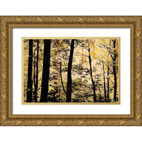 Golden Wood Gold Ornate Wood Framed Art Print with Double Matting by Nicole, Lily
