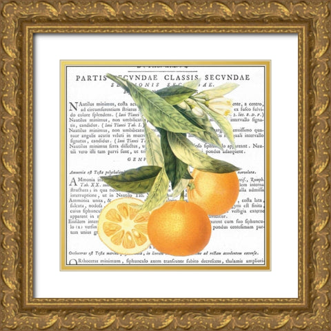 Citrus Edition II Gold Ornate Wood Framed Art Print with Double Matting by Bannister, Cory