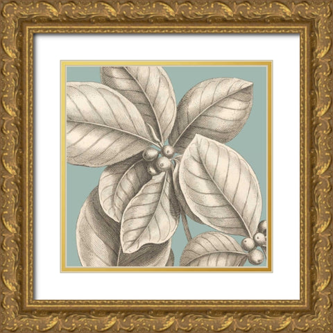 Tropical Varieties II Gold Ornate Wood Framed Art Print with Double Matting by Lawrence, David