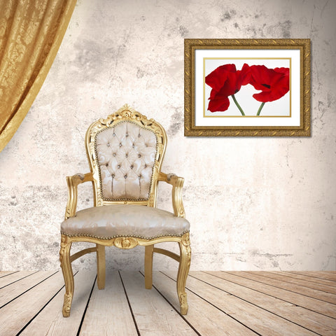 Poppy red Gold Ornate Wood Framed Art Print with Double Matting by Poelstra-Holzhaus, Yvonne