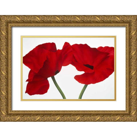 Poppy red Gold Ornate Wood Framed Art Print with Double Matting by Poelstra-Holzhaus, Yvonne