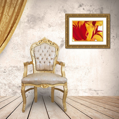 Floriade I Gold Ornate Wood Framed Art Print with Double Matting by Poelstra-Holzhaus, Yvonne