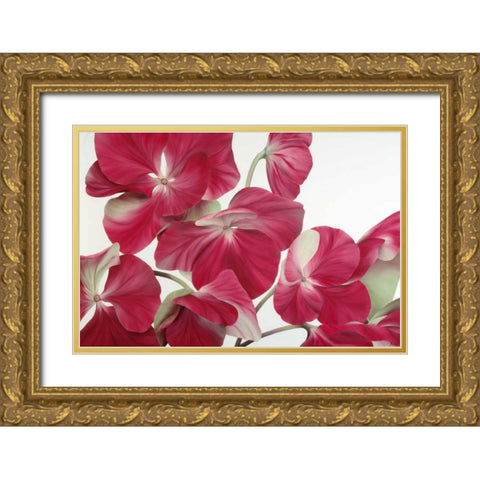 Floriade IV Gold Ornate Wood Framed Art Print with Double Matting by Poelstra-Holzhaus, Yvonne