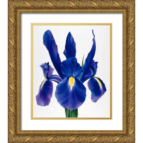 Purple floral I Gold Ornate Wood Framed Art Print with Double Matting by Poelstra-Holzhaus, Yvonne