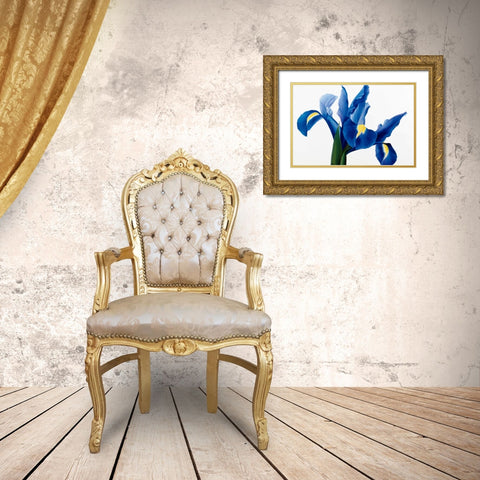 Purple floral II Gold Ornate Wood Framed Art Print with Double Matting by Poelstra-Holzhaus, Yvonne