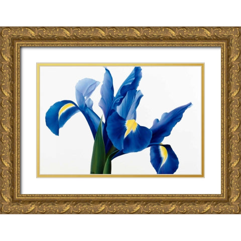 Purple floral II Gold Ornate Wood Framed Art Print with Double Matting by Poelstra-Holzhaus, Yvonne