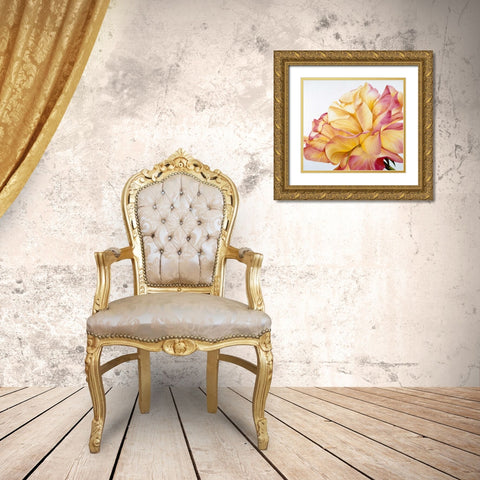 Beautiful rose Gold Ornate Wood Framed Art Print with Double Matting by Poelstra-Holzhaus, Yvonne