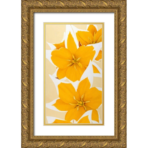Yellow missy Gold Ornate Wood Framed Art Print with Double Matting by Poelstra-Holzhaus, Yvonne