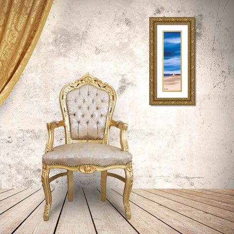 Blue sky I Gold Ornate Wood Framed Art Print with Double Matting by Paus, Hans