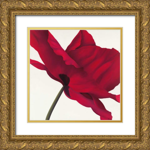 Papaver I Gold Ornate Wood Framed Art Print with Double Matting by Poelstra-Holzhaus, Yvonne