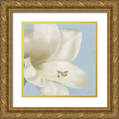 White amaryllis I Gold Ornate Wood Framed Art Print with Double Matting by Linda, Wood