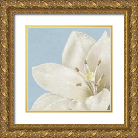 White amaryllis II Gold Ornate Wood Framed Art Print with Double Matting by Linda, Wood
