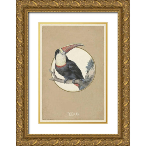 Toekan Gold Ornate Wood Framed Art Print with Double Matting by Waltz, Anne
