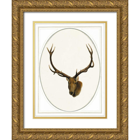 Deer II Gold Ornate Wood Framed Art Print with Double Matting by Waltz, Anne