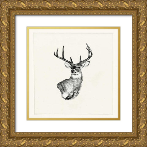 Adeerable II Gold Ornate Wood Framed Art Print with Double Matting by Waltz, Anne