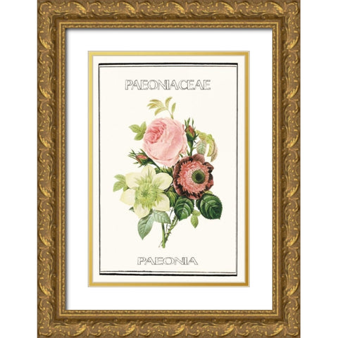 Paeno rose Gold Ornate Wood Framed Art Print with Double Matting by Waltz, Anne
