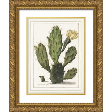 Cactenia Gold Ornate Wood Framed Art Print with Double Matting by Waltz, Anne