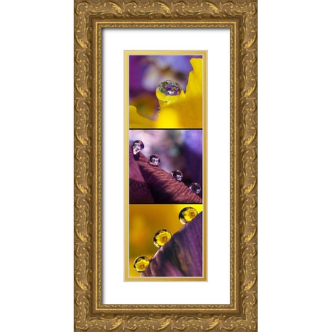 Jeux des Boules I Gold Ornate Wood Framed Art Print with Double Matting by Laimgruber, Dagmar