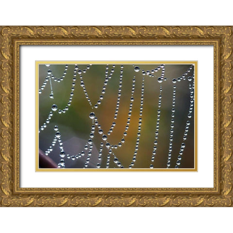 Tausend kleine Sonnen Gold Ornate Wood Framed Art Print with Double Matting by Rossmeissl, Gerhard