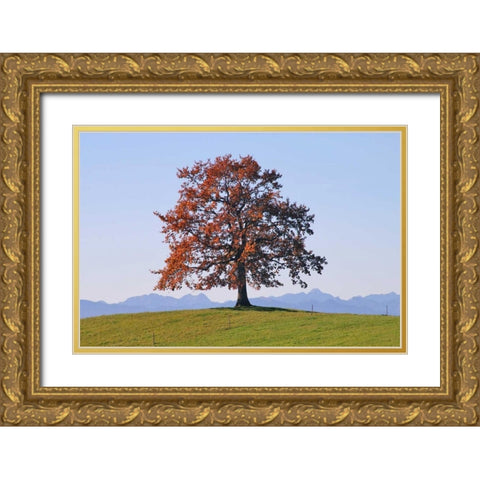 Der Baum Gold Ornate Wood Framed Art Print with Double Matting by Rossmeissl, Gerhard