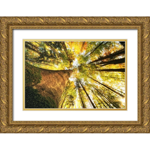 Hoch hinauf Gold Ornate Wood Framed Art Print with Double Matting by Rossmeissl, Gerhard