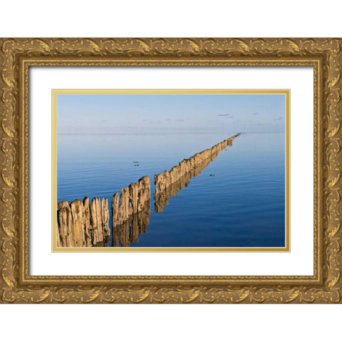 Weite Gold Ornate Wood Framed Art Print with Double Matting by Rossmeissl, Gerhard