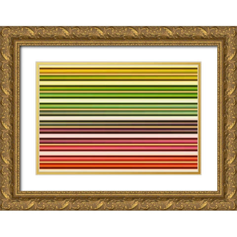 Color Lines I Gold Ornate Wood Framed Art Print with Double Matting by Rossmeissl, Gerhard