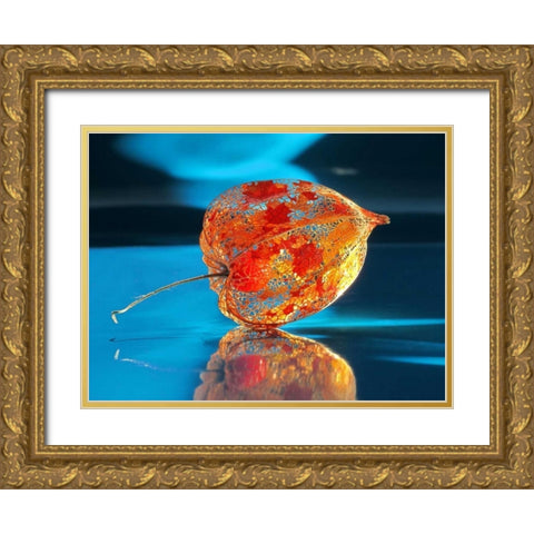 Ballonblume Gold Ornate Wood Framed Art Print with Double Matting by Weissing, Gerd