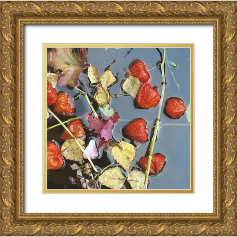 Herbstwasser Gold Ornate Wood Framed Art Print with Double Matting by Weissing, Gerd