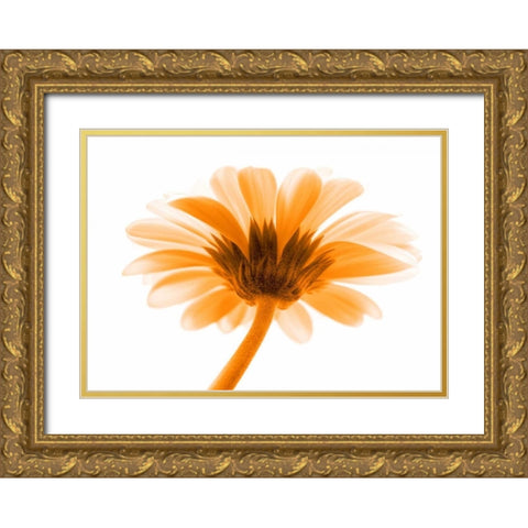 Lichtbote I Gold Ornate Wood Framed Art Print with Double Matting by Riedt, Kirsten