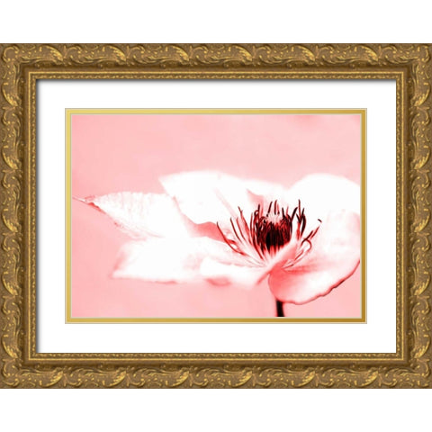 Beauty Gold Ornate Wood Framed Art Print with Double Matting by Riedt, Kirsten