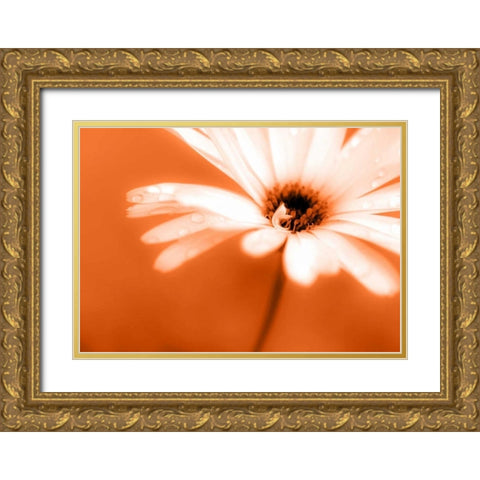 Leaned Gold Ornate Wood Framed Art Print with Double Matting by Riedt, Kirsten