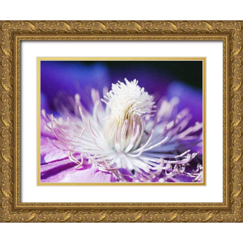 White and purple Gold Ornate Wood Framed Art Print with Double Matting by Riedt, Kirsten