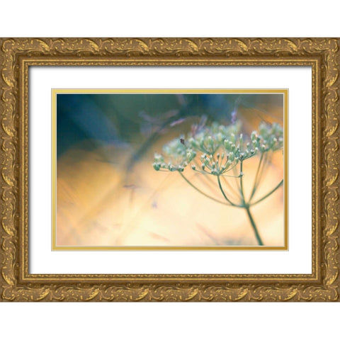 Summer dreams I Gold Ornate Wood Framed Art Print with Double Matting by Riedt, Kirsten