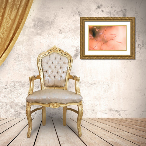 Wild summer I Gold Ornate Wood Framed Art Print with Double Matting by Riedt, Kirsten