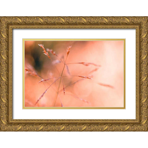 Wild summer I Gold Ornate Wood Framed Art Print with Double Matting by Riedt, Kirsten