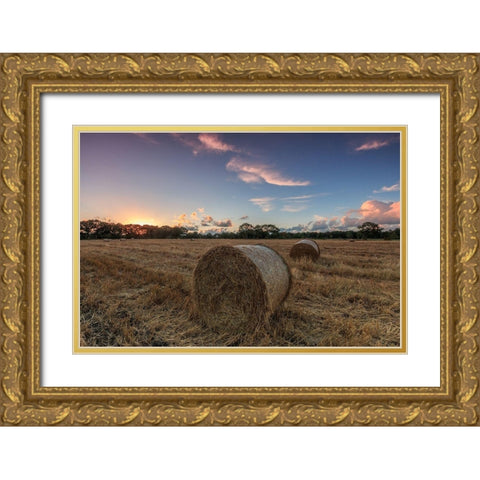 Herbst im Norden Gold Ornate Wood Framed Art Print with Double Matting by Scholz, Markus