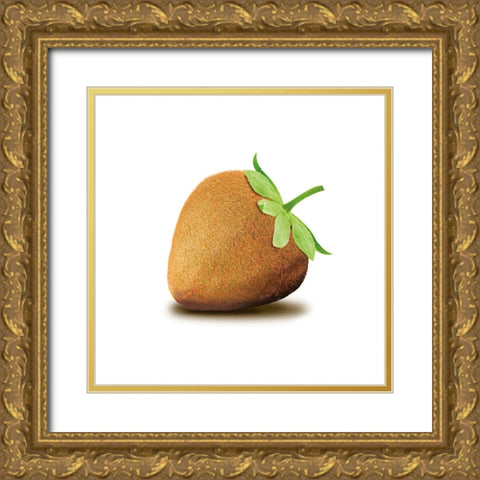 Kiwbeere Gold Ornate Wood Framed Art Print with Double Matting by Broszius, Michael