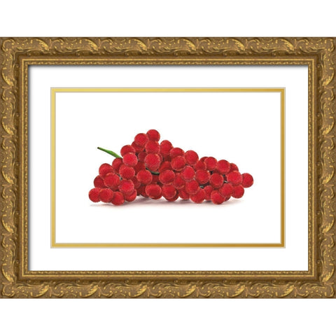 Litschben Gold Ornate Wood Framed Art Print with Double Matting by Broszius, Michael