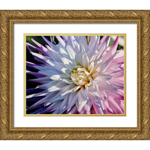 Another Dazzling Dahlia Gold Ornate Wood Framed Art Print with Double Matting by Schuh, Michael