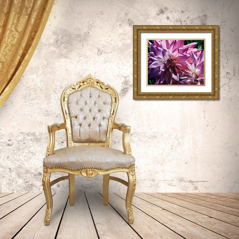 Dueling Dahlias Gold Ornate Wood Framed Art Print with Double Matting by Schuh, Michael