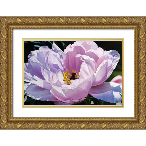 The Awakening Gold Ornate Wood Framed Art Print with Double Matting by Schuh, Michael