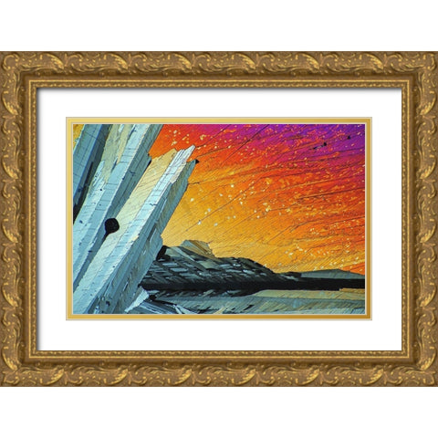 AdipinsÃ¤ure Gold Ornate Wood Framed Art Print with Double Matting by Juzak, Peter