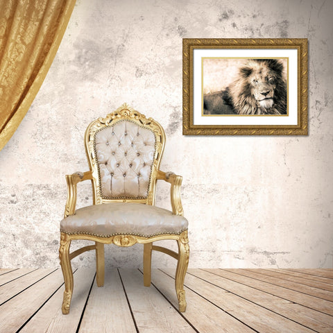 Lion-King Gold Ornate Wood Framed Art Print with Double Matting by Seifinger, Toby