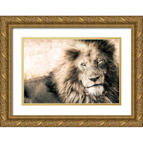 Lion-King Gold Ornate Wood Framed Art Print with Double Matting by Seifinger, Toby