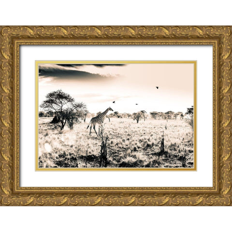 Giraffe Gold Ornate Wood Framed Art Print with Double Matting by Seifinger, Toby