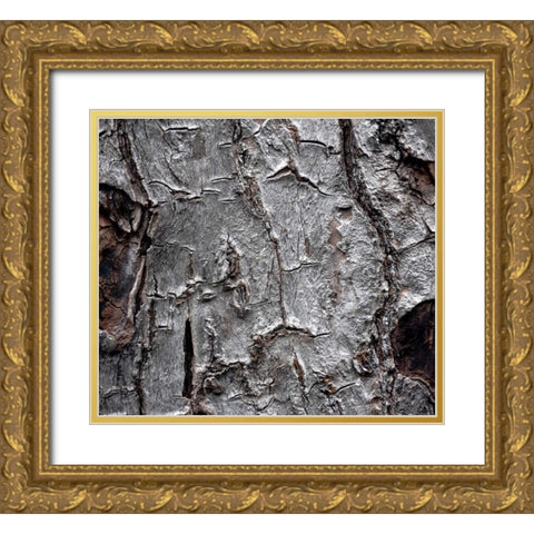 Tree Bark Gold Ornate Wood Framed Art Print with Double Matting by Stalowy, John