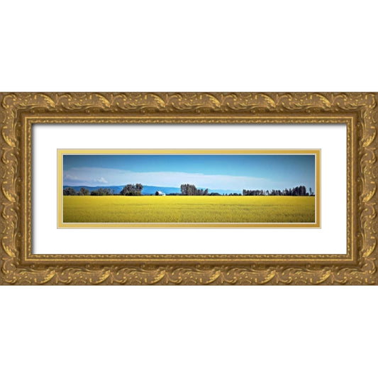 Perspective Image
