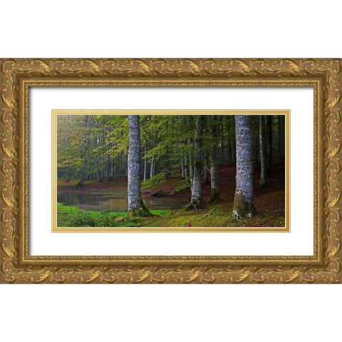 Forest 801 Gold Ornate Wood Framed Art Print with Double Matting by Palacios, J.A.