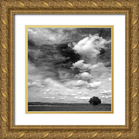 Black and white field 841 Gold Ornate Wood Framed Art Print with Double Matting by Palacios, J.A.